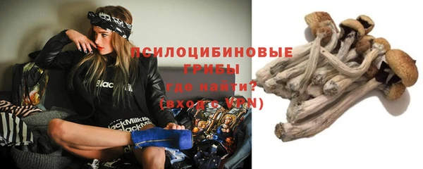 ALPHA-PVP Алексеевка